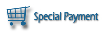 Special Payment
